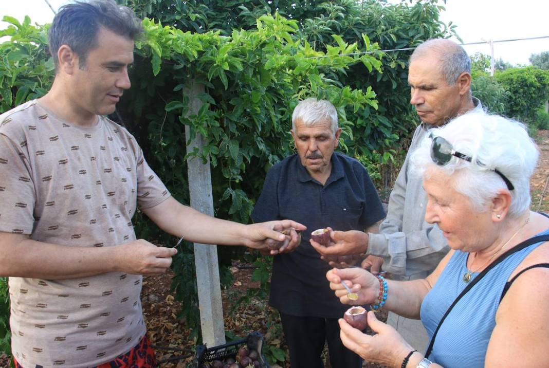 'Aşk meyvesi'ne yatırım yaptılar, mutluluktan havalara uçtular! Yurt dışından gelip kasa kasa alıyorlar, çok para kazandırıyor 7